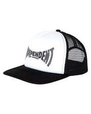 Skull Span Mesh Trucker Hat